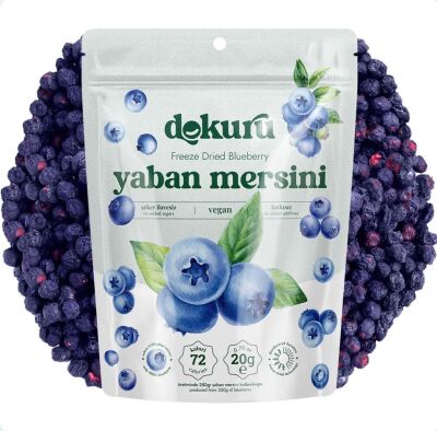 Blueberry Dried Fruit Chips - 1