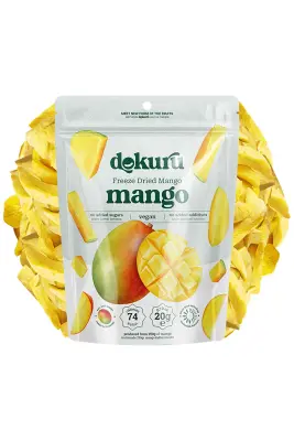 Mango Dried Fruit Chips - Freeze Dried Crispy Mango - 1